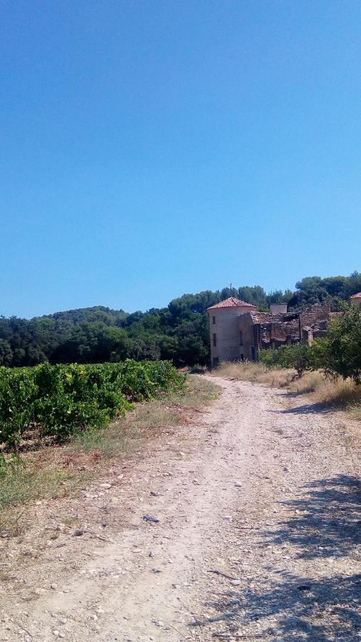 Bed and Breakfast Les Cigales Villelaure Esterno foto