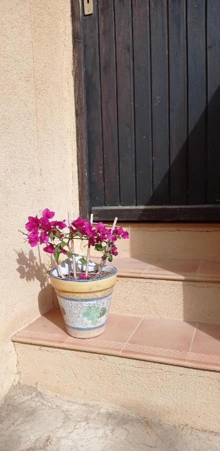 Bed and Breakfast Les Cigales Villelaure Esterno foto